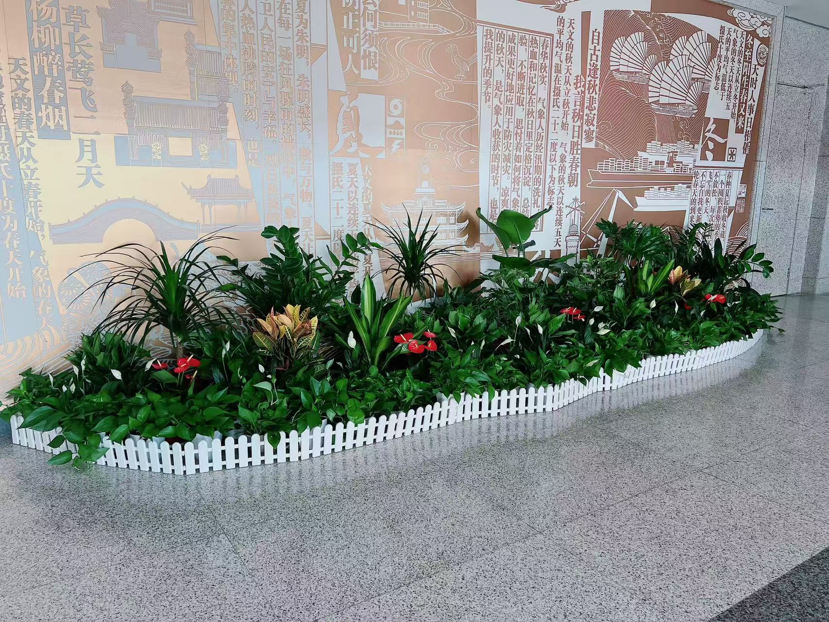 余姚盆景租赁，贴心服务，满足您对绿植的期待！